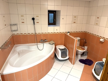 Prodej domu 150 m², Vladislav