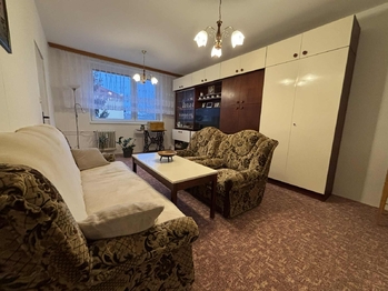 Pronájem bytu 3+1 v osobním vlastnictví 80 m², Hluk