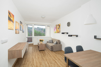 Prodej bytu 2+kk v osobním vlastnictví 45 m², Všemina