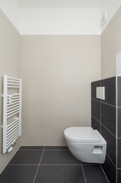 Prodej bytu 2+kk v osobním vlastnictví 45 m², Všemina