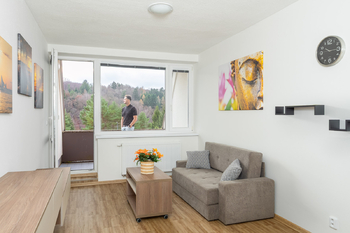 Prodej bytu 2+kk v osobním vlastnictví 45 m², Všemina