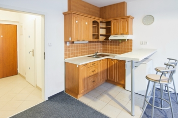 Pronájem bytu 1+kk v osobním vlastnictví 35 m², Praha 10 - Záběhlice