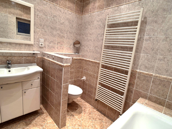 Prodej bytu 1+1 v osobním vlastnictví 55 m², Praha 7 - Holešovice