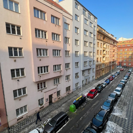 Prodej bytu 1+1 v osobním vlastnictví 55 m², Praha 7 - Holešovice