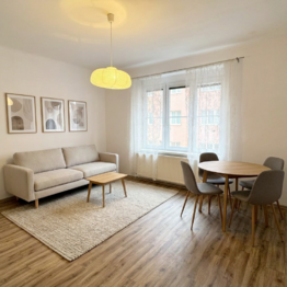 Prodej bytu 1+1 v osobním vlastnictví 55 m², Praha 7 - Holešovice