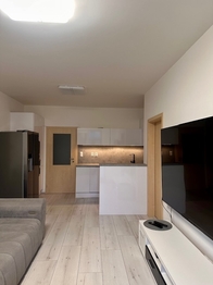 Pronájem bytu 3+kk v osobním vlastnictví 92 m², České Budějovice