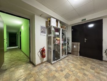 Pronájem výrobních prostor 2322 m², Věžky