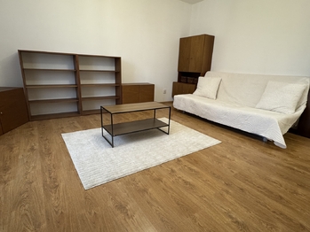 obývací pokoj - Pronájem bytu 1+1 v osobním vlastnictví 36 m², Kladno