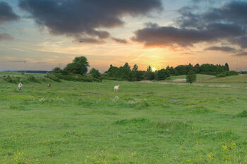 Propachtovaný pozemek - Prodej zemědělského objektu 251 m², Staré Sedlo