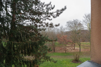 Prodej bytu 3+1 v družstevním vlastnictví 67 m², Praha 4 - Braník