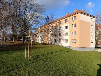 Prodej bytu 2+1 v družstevním vlastnictví 56 m², Teplice