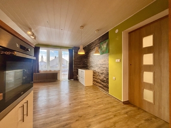 Prodej domu 259 m², Opatovice