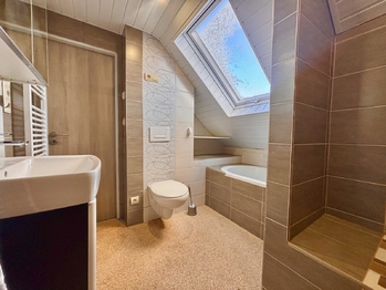 Horní koupelna - Prodej domu 259 m², Opatovice