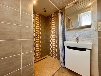 Horní koupelna - Prodej domu 259 m², Opatovice