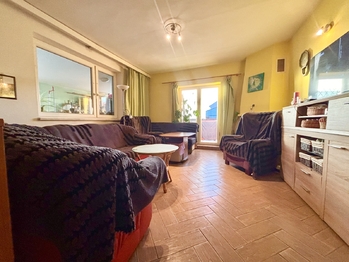 Obývací pokoj - Prodej domu 259 m², Opatovice