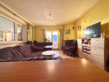 Obývací pokoj - Prodej domu 259 m², Opatovice