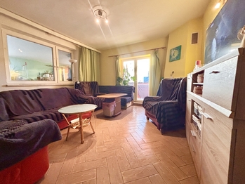 Obývací pokoj - Prodej domu 259 m², Opatovice