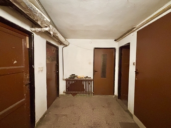 Suterén - Prodej domu 259 m², Opatovice