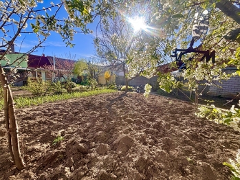 Zahrada - Prodej domu 259 m², Opatovice