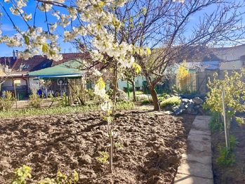 Zahrada - Prodej domu 259 m², Opatovice