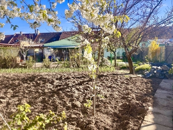 Zahrada - Prodej domu 259 m², Opatovice