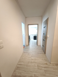 Pronájem bytu 2+1 v osobním vlastnictví 50 m², Děčín