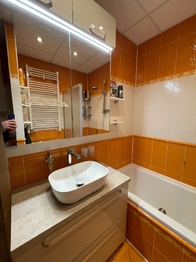 koupelna - Pronájem bytu 3+1 v osobním vlastnictví 73 m², Polná