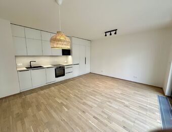 Pronájem bytu 1+kk v osobním vlastnictví 39 m², Praha 4 - Hodkovičky