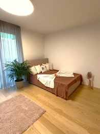 Pronájem bytu 1+kk v osobním vlastnictví 40 m², Praha 10 - Vršovice