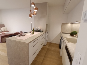 Pronájem bytu 1+kk v osobním vlastnictví 40 m², Praha 10 - Vršovice