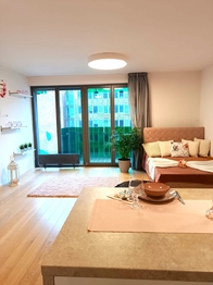 Pronájem bytu 1+kk v osobním vlastnictví 40 m², Praha 10 - Vršovice