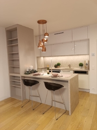 Pronájem bytu 1+kk v osobním vlastnictví 40 m², Praha 10 - Vršovice