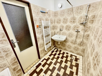 Prodej domu 180 m², Žihobce