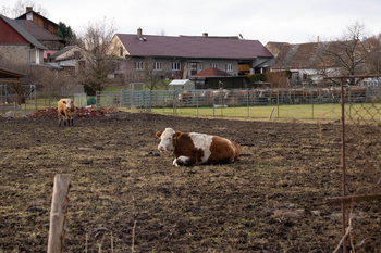 Prodej domu 74 m², Nišovice