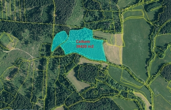 Prodej pozemku 39420 m², Vimperk