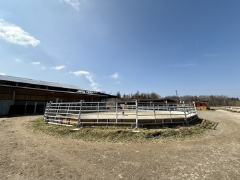 Prodej zemědělského objektu 164000 m², Spálené Poříčí