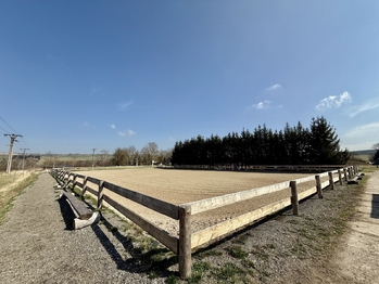 Prodej zemědělského objektu 164000 m², Spálené Poříčí