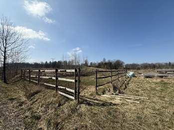 Prodej zemědělského objektu 164000 m², Spálené Poříčí