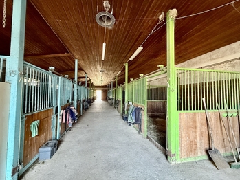 Prodej zemědělského objektu 164000 m², Spálené Poříčí