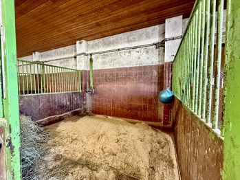 Prodej zemědělského objektu 164000 m², Spálené Poříčí