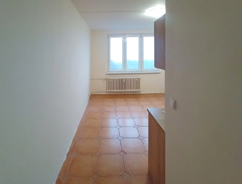 Jednotka disponuje pouze  - Pronájem bytu 1+kk v osobním vlastnictví 19 m², Lubná