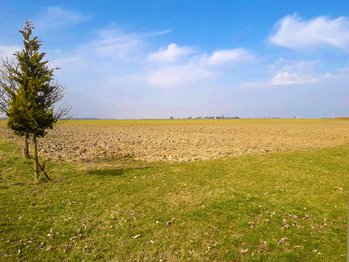 Prodej pozemku 970 m², Suchdol