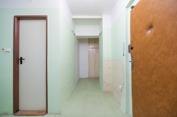 Hala - Prodej bytu 2+kk v družstevním vlastnictví 43 m², Praha 7 - Holešovice