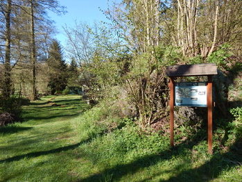 Přístupová cesta - Prodej chaty / chalupy 45 m², Kožlany