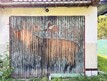 Garáž - Prodej domu 111 m², Kyselka