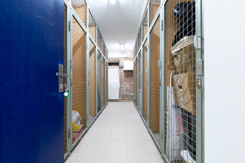 Pronájem bytu 3+1 v osobním vlastnictví 93 m², Praha 7 - Holešovice