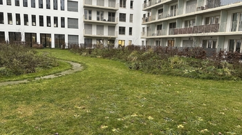 Vnitroblok - Pronájem bytu 2+kk v osobním vlastnictví 67 m², Brno
