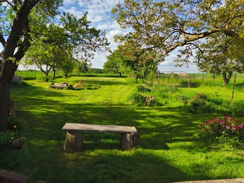 Prodej domu 250 m², Markvartice