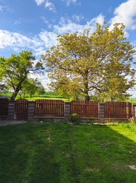 Prodej domu 250 m², Markvartice