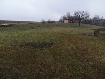 Prodej pozemku 3553 m², Horní Libochová